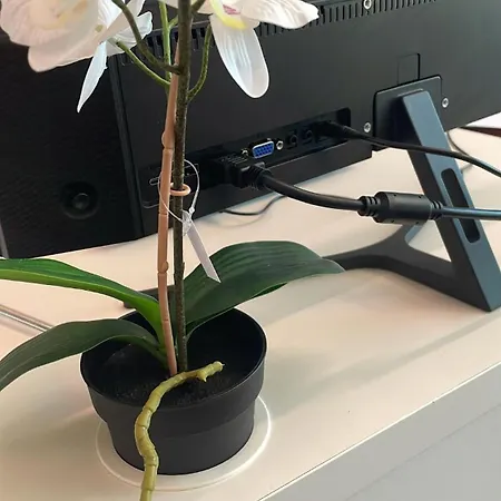 Διαμέρισμα Oleandro House Μπολόνια